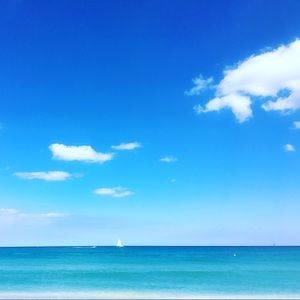 Meet your Posher, Claudia